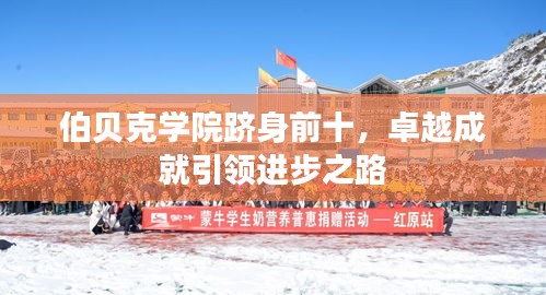 伯贝克学院跻身前十，卓越成就引领进步之路