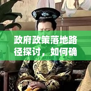 政府政策落地路径探讨，如何确保政策生根并有效实施？