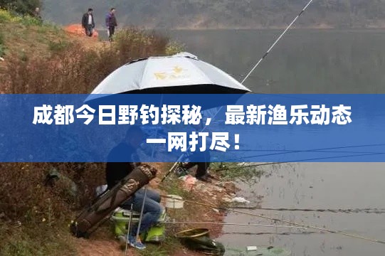 成都今日野钓探秘，最新渔乐动态一网打尽！