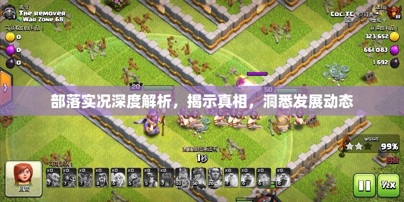 部落实况深度解析，揭示真相，洞悉发展动态