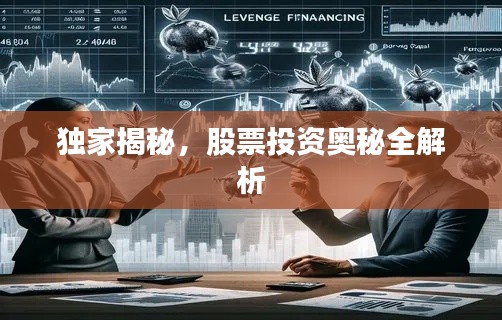 独家揭秘，股票投资奥秘全解析