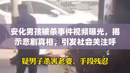 安化男孩被杀事件视频曝光，揭示悲剧真相，引发社会关注呼声