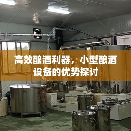 高效酿酒利器，小型酿酒设备的优势探讨