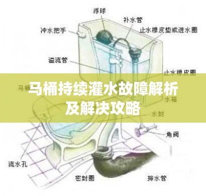 鲜花用途
