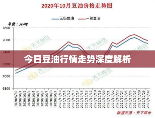 今日豆油行情走势深度解析