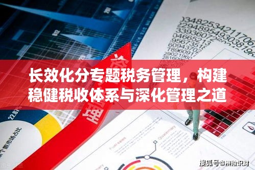 长效化分专题税务管理，构建稳健税收体系与深化管理之道