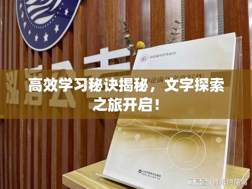 高效学习秘诀揭秘，文字探索之旅开启！
