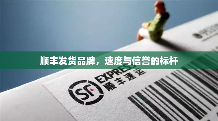 顺丰发货品牌，速度与信誉的标杆