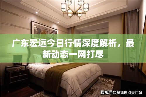 广东宏远今日行情深度解析，最新动态一网打尽