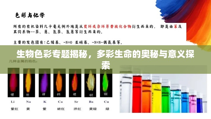 生物色彩专题揭秘，多彩生命的奥秘与意义探索