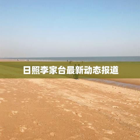 日照李家台最新动态报道