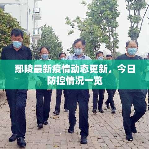 鄢陵最新疫情动态更新，今日防控情况一览