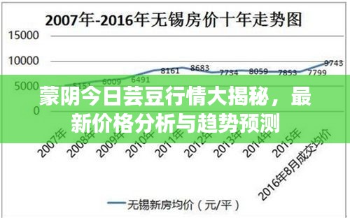 蒙阴今日芸豆行情大揭秘，最新价格分析与趋势预测