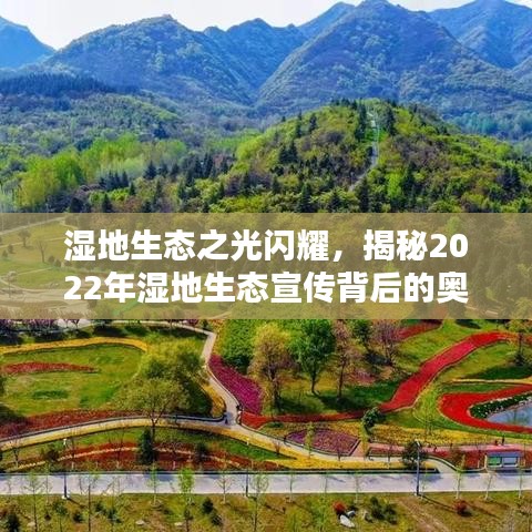 湿地生态之光闪耀，揭秘2022年湿地生态宣传背后的奥秘！