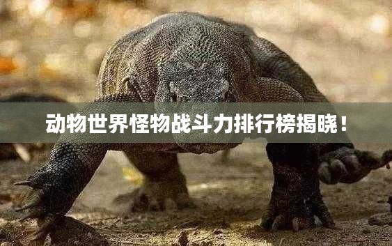 动物世界怪物战斗力排行榜揭晓！