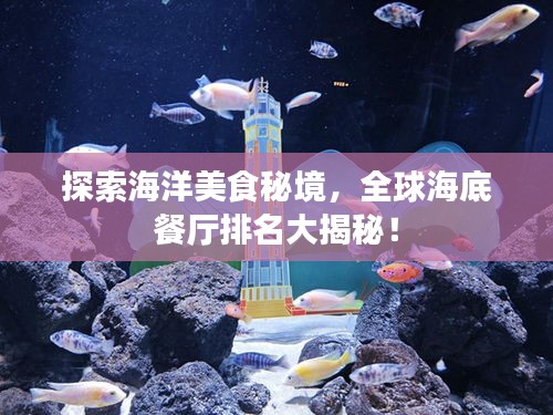 探索海洋美食秘境，全球海底餐厅排名大揭秘！