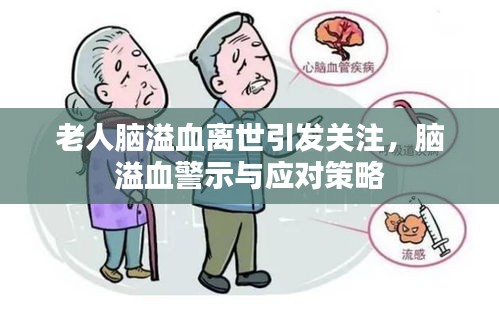 老人脑溢血离世引发关注，脑溢血警示与应对策略