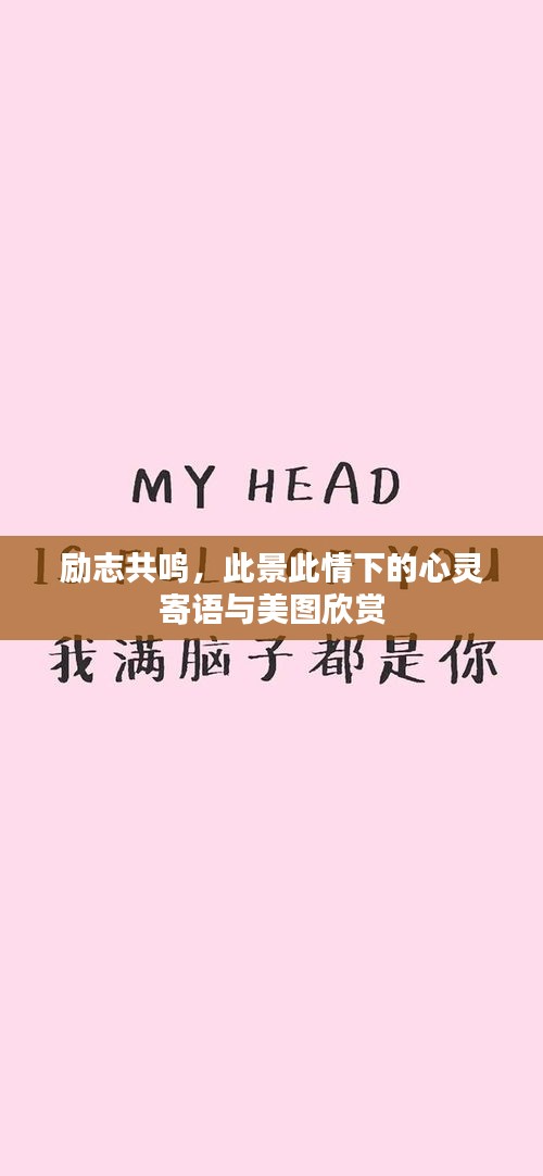 励志共鸣，此景此情下的心灵寄语与美图欣赏