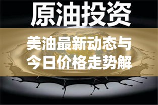 美油最新动态与今日价格走势解析