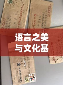 语言之美与文化基石，规范字序的魅力探索