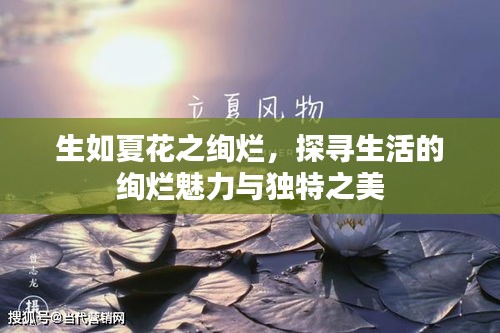 生如夏花之绚烂，探寻生活的绚烂魅力与独特之美