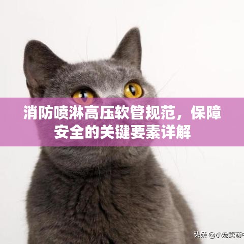 消防喷淋高压软管规范，保障安全的关键要素详解