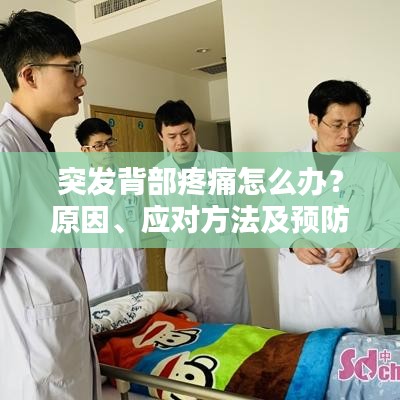 突发背部疼痛怎么办？原因、应对方法及预防措施全解析