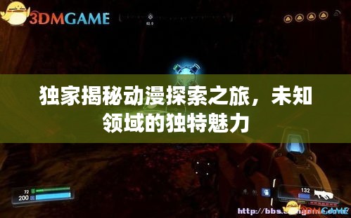 独家揭秘动漫探索之旅，未知领域的独特魅力