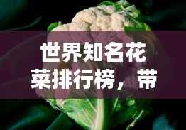 世界知名花菜排行榜，带你领略花菜之美！