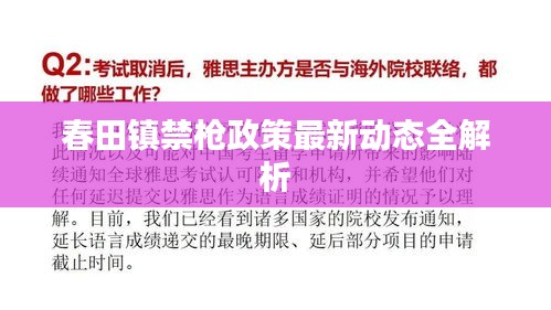 春田镇禁枪政策最新动态全解析