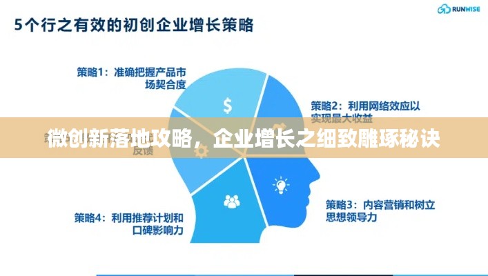 微创新落地攻略，企业增长之细致雕琢秘诀