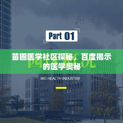 苗圃医学社区探秘，百度揭示的医学奥秘
