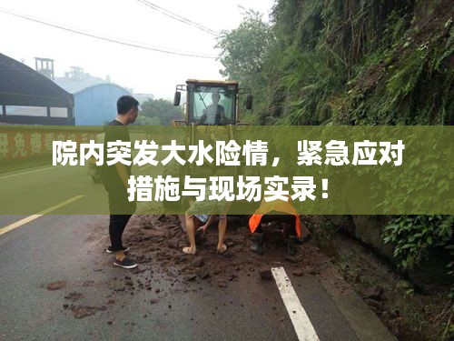 院内突发大水险情，紧急应对措施与现场实录！