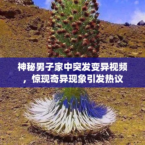 神秘男子家中突发变异视频，惊现奇异现象引发热议