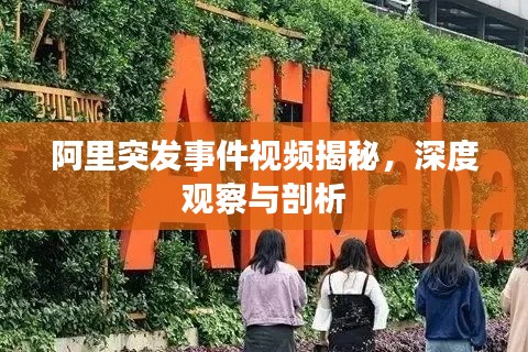 阿里突发事件视频揭秘，深度观察与剖析