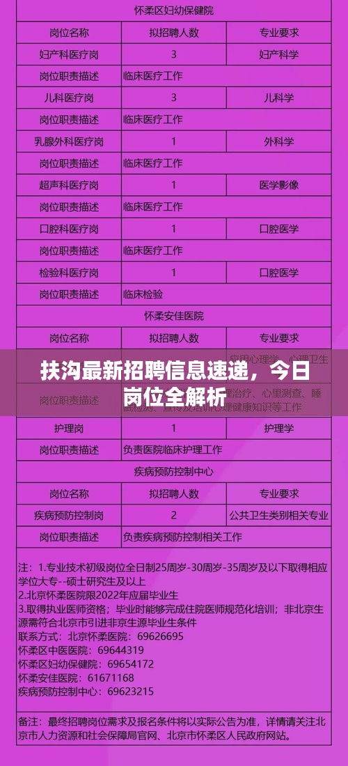 扶沟最新招聘信息速递，今日岗位全解析