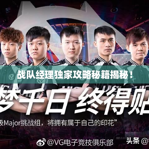 战队经理独家攻略秘籍揭秘！