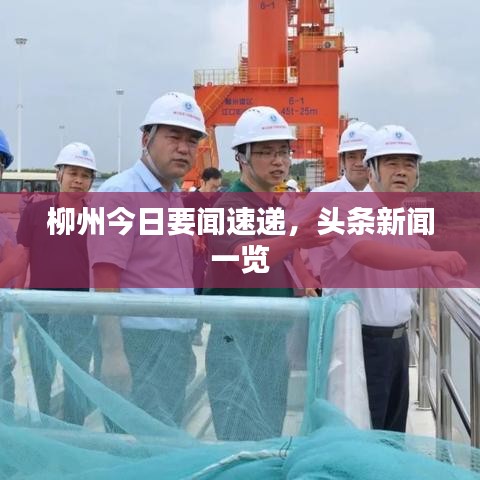 柳州今日要闻速递，头条新闻一览