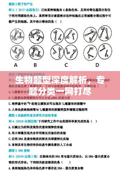 生物题型深度解析，专题分类一网打尽