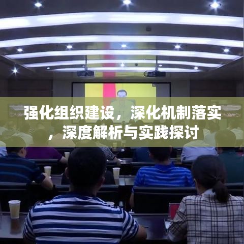 强化组织建设，深化机制落实，深度解析与实践探讨