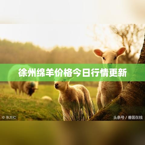 集腋成裘