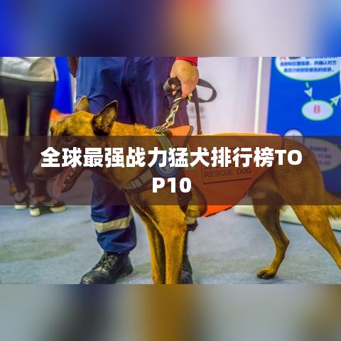 全球最强战力猛犬排行榜TOP10