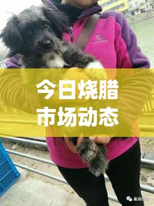今日烧腊市场动态，最新消息一网打尽