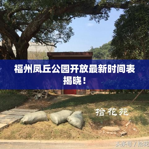 福州凤丘公园开放最新时间表揭晓！