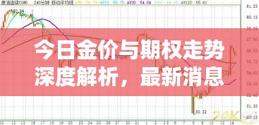 今日金价与期权走势深度解析，最新消息综合分析报告