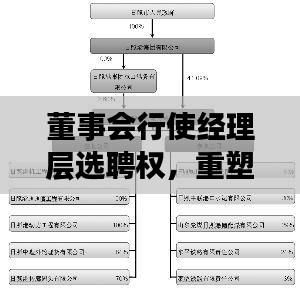 董事会行使经理层选聘权，重塑公司治理结构的核心行动