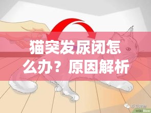 猫突发尿闭怎么办？原因解析、应急措施与预防方法全攻略！