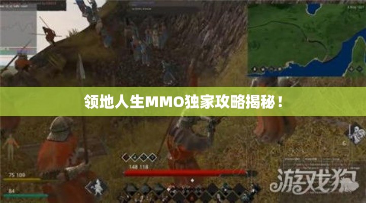 领地人生MMO独家攻略揭秘！