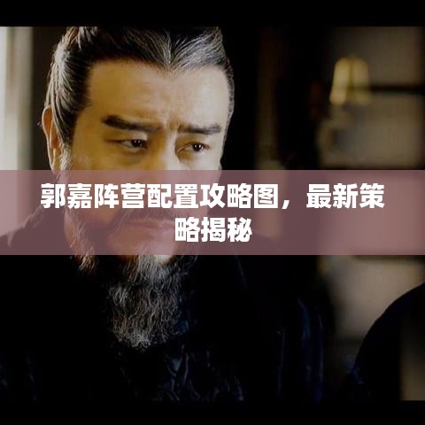 郭嘉阵营配置攻略图，最新策略揭秘