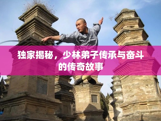 独家揭秘，少林弟子传承与奋斗的传奇故事